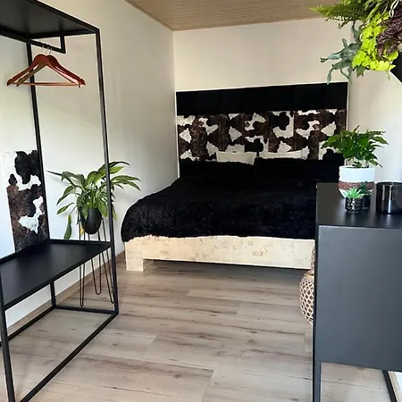 Chillresort Курортный комплекс
